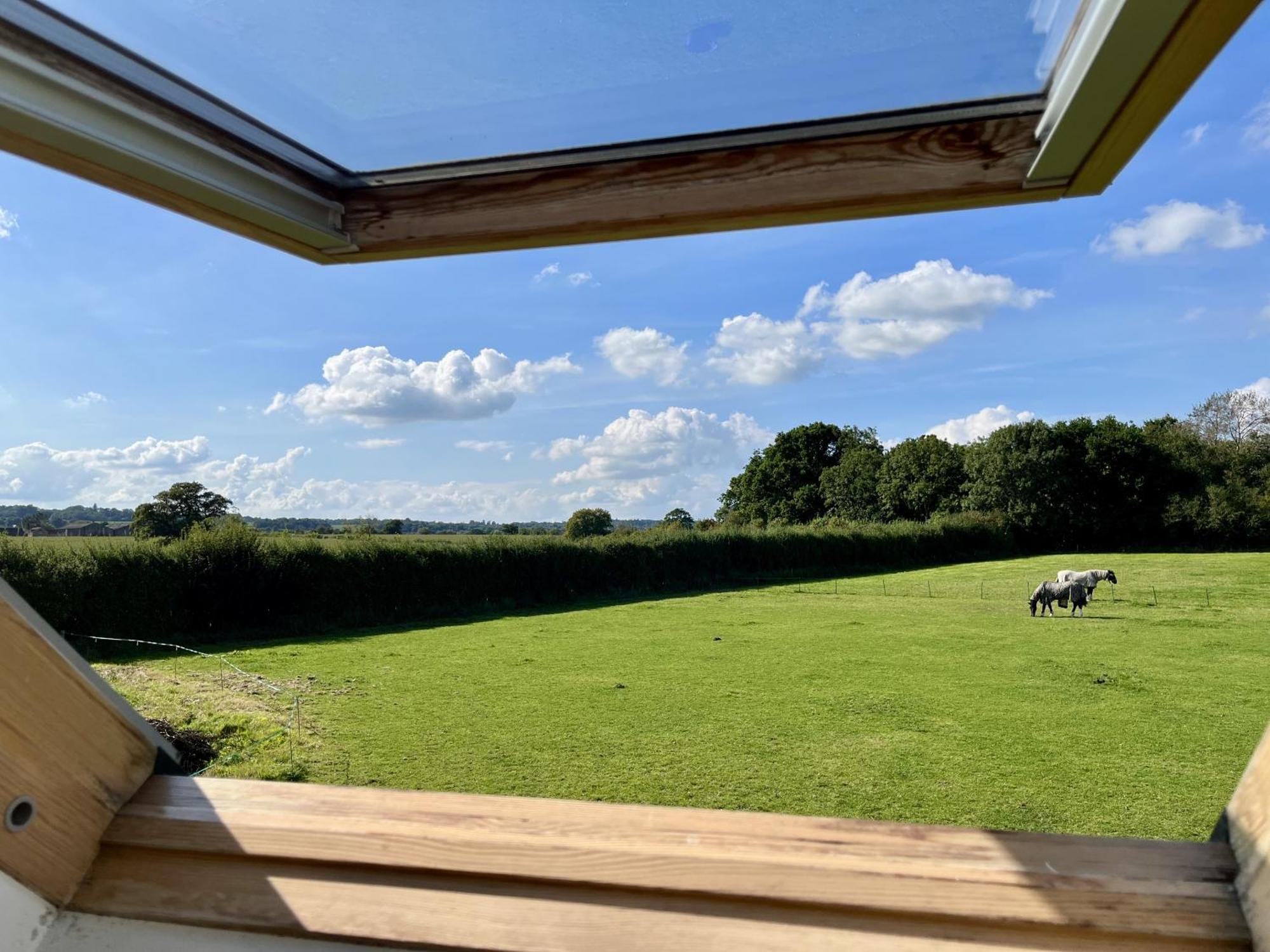 Priors Oak - A Cosy Studio With Countryside Views In Dorset Stalbridge Eksteriør billede